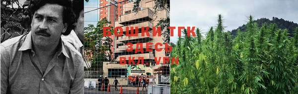 mdpv Новодвинск