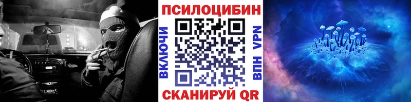 дарнет шоп  Энем  кракен   Галлюциногенные грибы GOLDEN TEACHER 